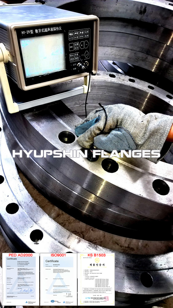 Flanges UT Testing