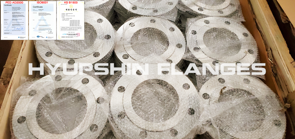 Hyupshin Flanges Manufacturing Steel Flanges Standards with DIN EN1092-1 BS4504