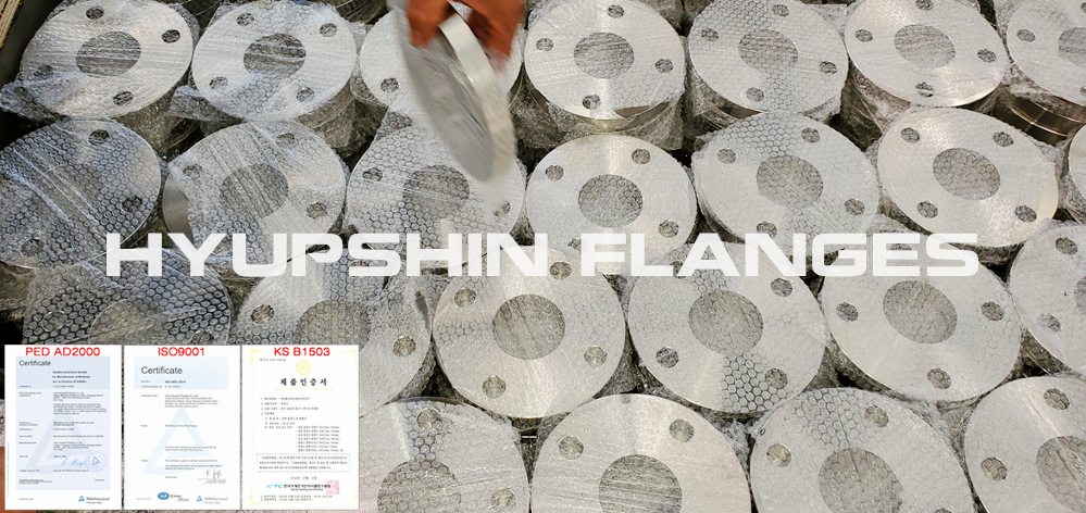 Hyupshin Flanges Export Flanges Types Slip on Plate Blind Welding Neck Threaded Lapped Loose