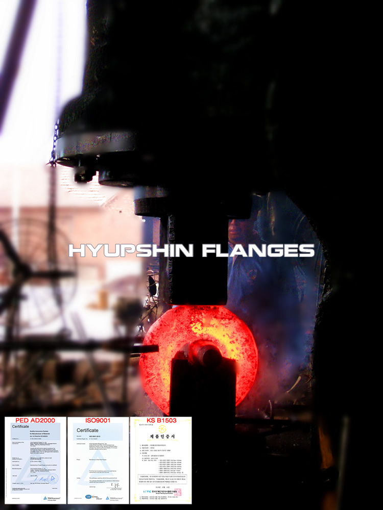 Flanges Forging