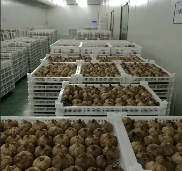 Black Garlic Factory