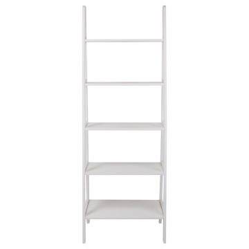 5-Shelf Ladder Bookcase & Flower shelf