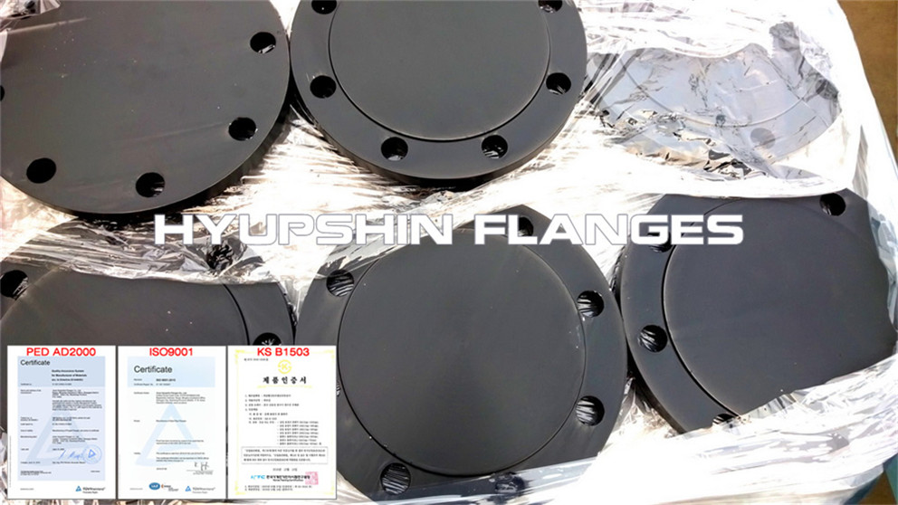 Hyupshin Flanges Blank Blind Rf Black