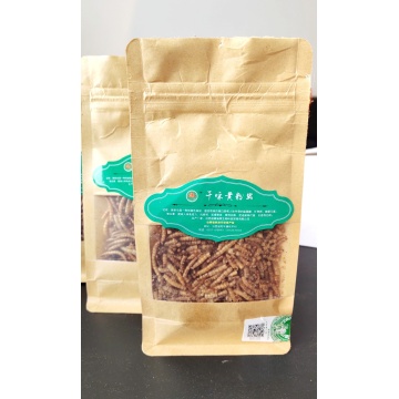 Mealworms with high Protein