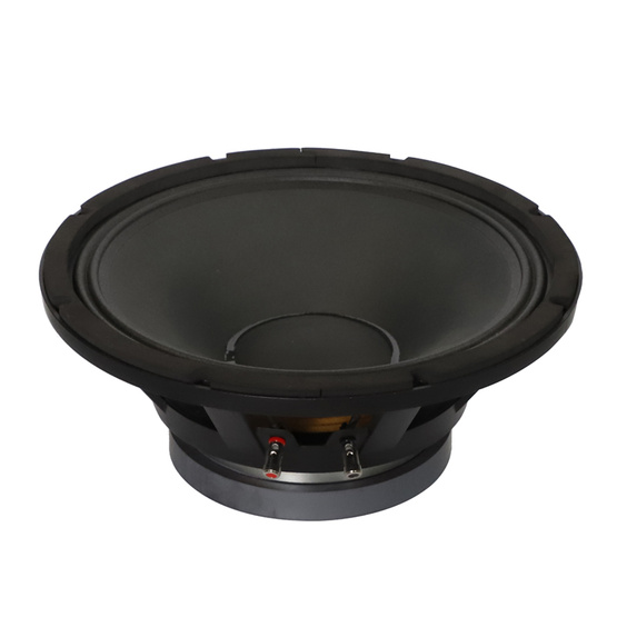 Party Concert Opera Stage 15inch speaker