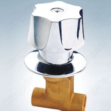 Brass Shower Stop Valve With Abs Flange