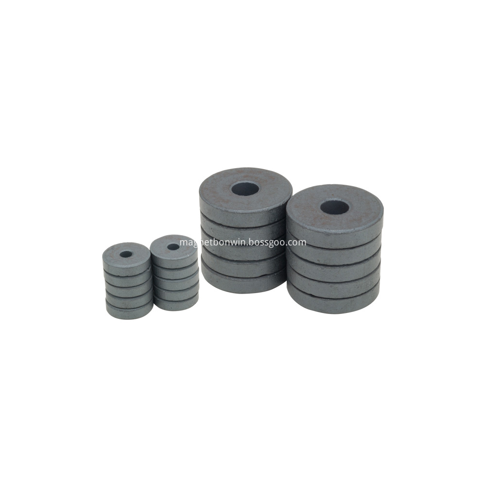 Ring ferrite magnet