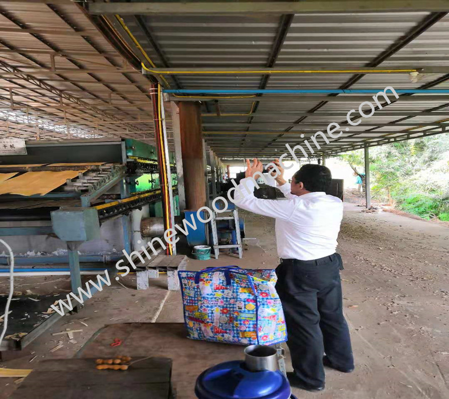 Plywood Veneer Drying Machine