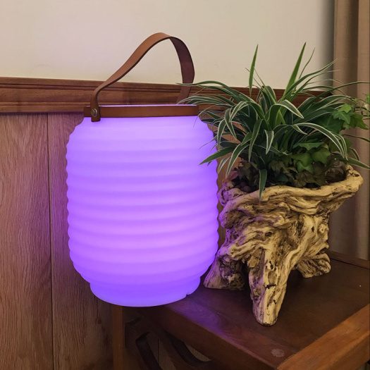 OEM Portable Speaker Lamp with Wine cooler