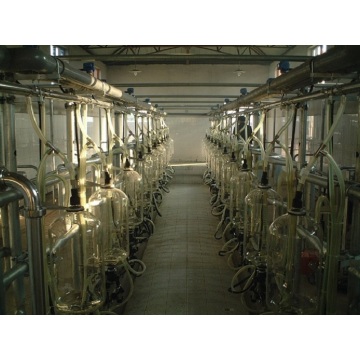 Dairy farm milking parlor for cows