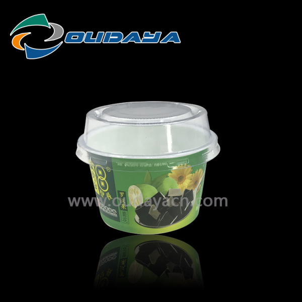 ice cream yoghurt cup with lid