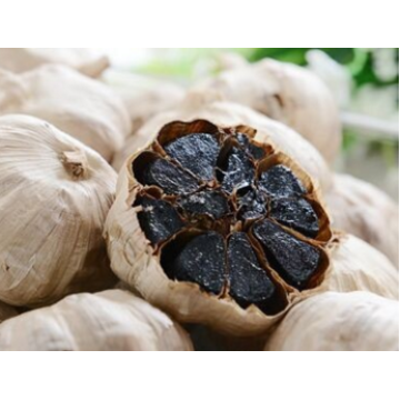 Good Quality Black Garlic From Fermentation