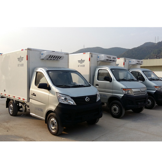 12v truck cooling refrigerastion system