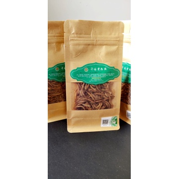 Rich in Protein Dried Mealworms