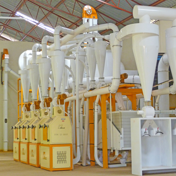 Tanzania 30T Maize Flour Milling Machine