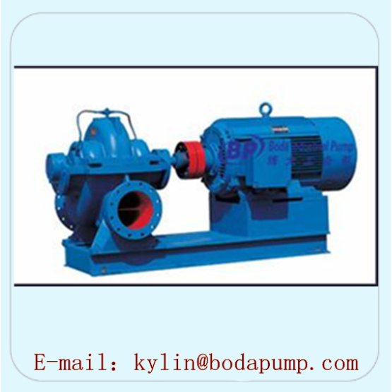 Double Suction Water Pump