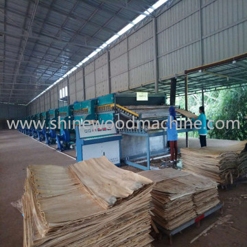 Shine Veneer Drying Machine for Plywood