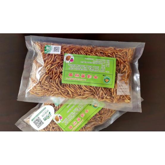 Protein-Rich dried mealworm for export
