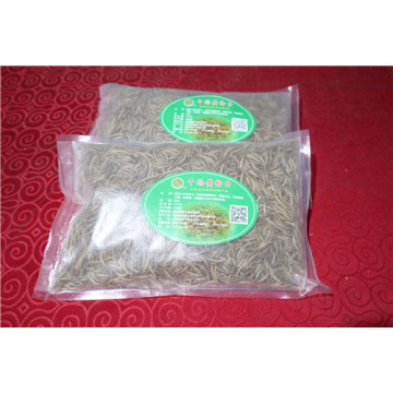 Reptile Food Dried Mealworm