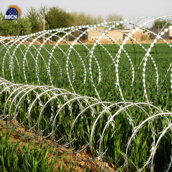 3 clips 10m length razor barbed wire