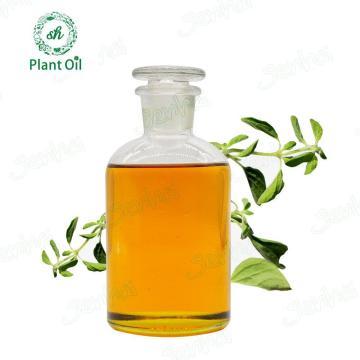 Factory Hot Sale Fresh and Natural Orgeano Oil
