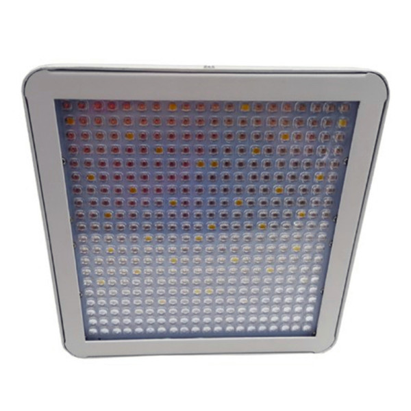 Wholesale 80W LED Grow Lighting for indoor plant