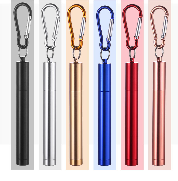 Collapsible Stainless Steel Straw