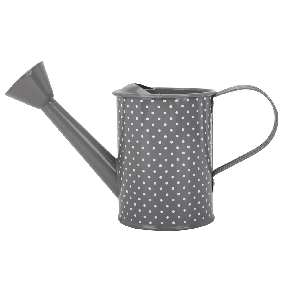 Small Decorative Watering Can