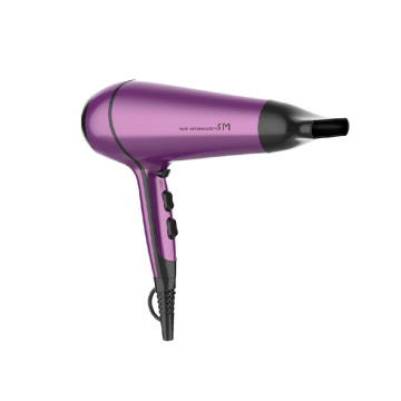 Professional DC Motor Hair Dryer with Concentrator Diffuser