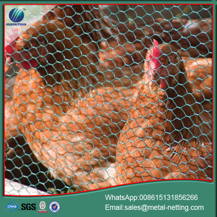 hexagonal wire mesh galvanized chick wire