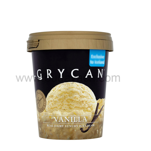 500ml plastic frozen ice cream cups with lid