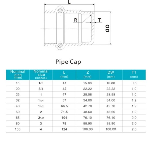 Stainless Steel Gas Cap Press Pipe Fitting