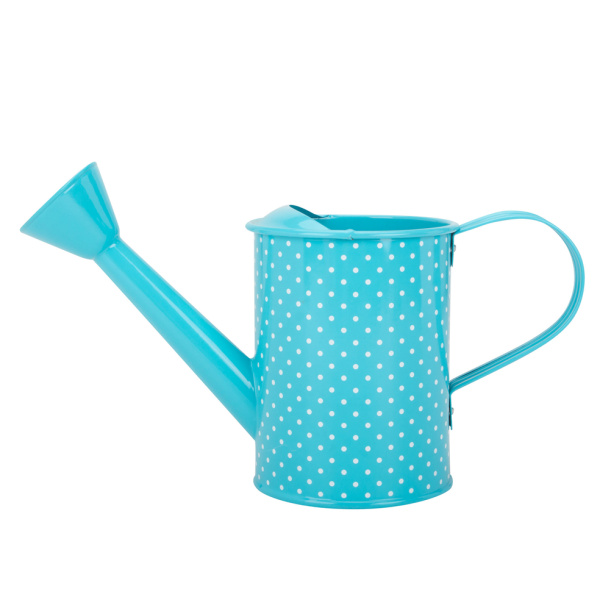 Small Metal Indoor Plant Watering Can Child