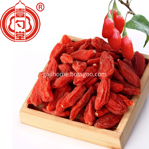 Goji Gourmet Dried Goji Berry Organic Chinese Wolfberry