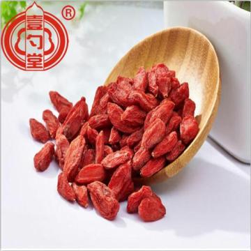 Dietary Dried Red Berries Ningxia Goji Berry