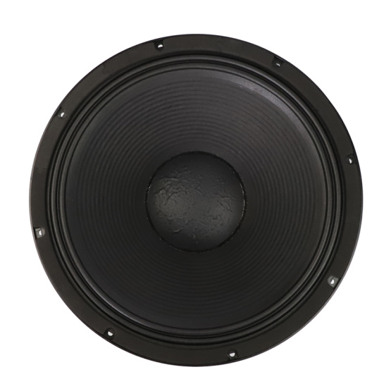 18inch party stage concert opera speaker
