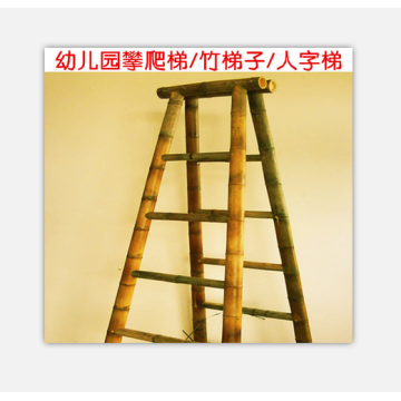 Fixed Straight  Bamboo Ladder