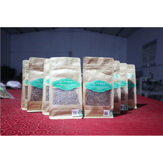 Reptile Food Dried Mealworm