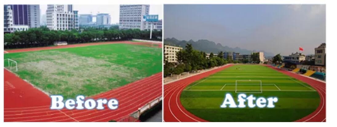 PE Artificial Grass Football