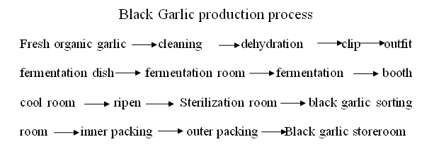 production process