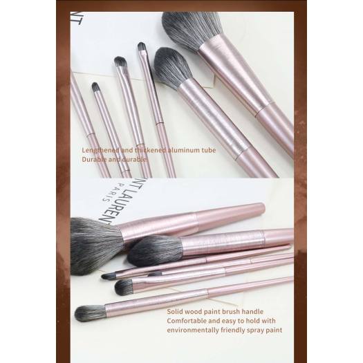 10 Pcs b s mall makeup brushes set