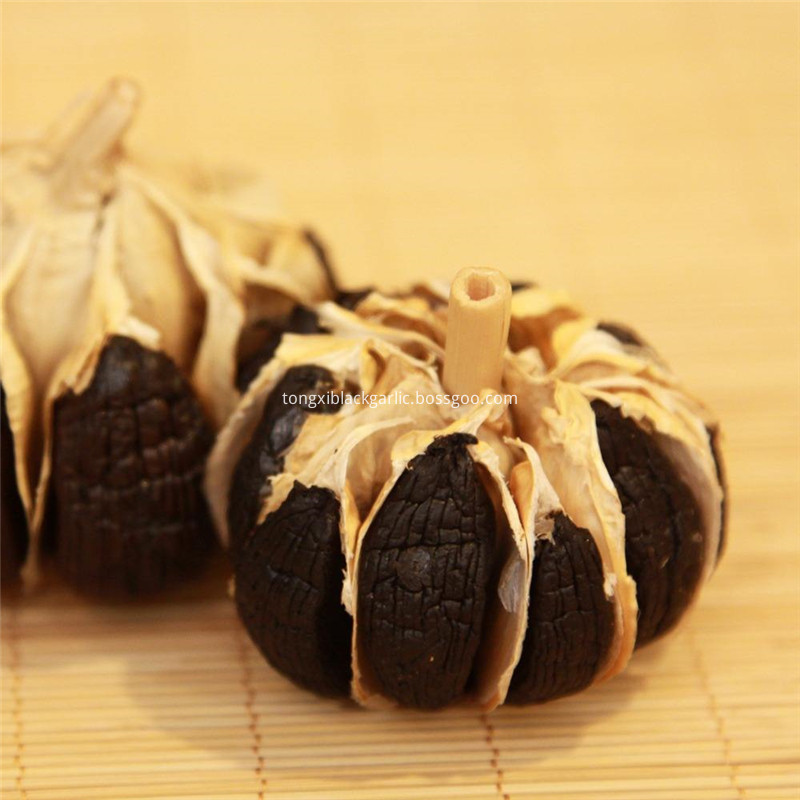 Multi Black Garlic 097