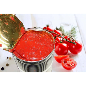 Organic Canned Tomato Paste