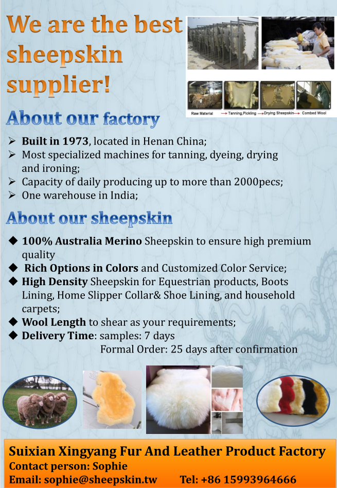 100% Australia Sheepskin Gloves