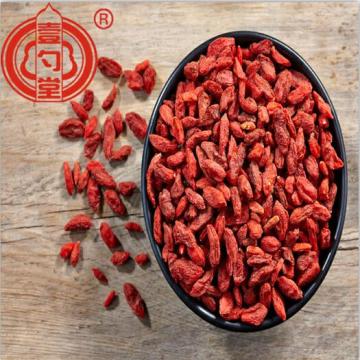 The Dried Red Goji Berry Fruit