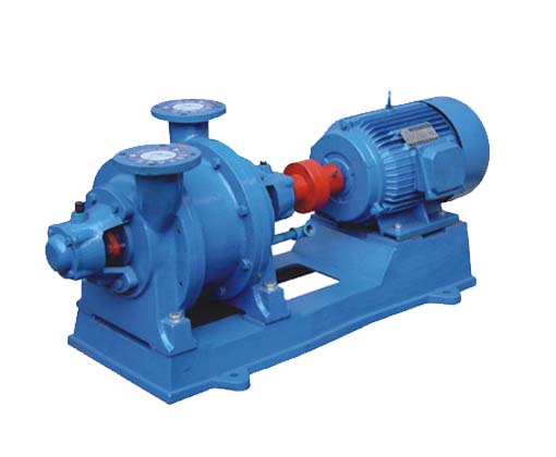 2BE water ring vacuum pump and compressor 4