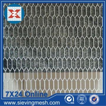 Stainless Steel Plate Mesh