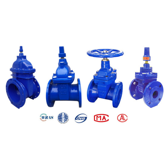 BS5163 Resilient Seated Gate Valve