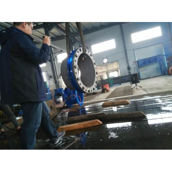 DN700-DN2000 large diameter c/w end ring flange adaptor