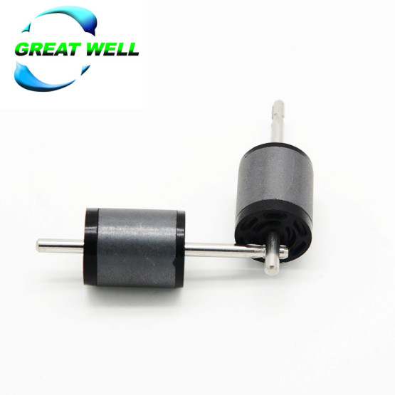 19X20 Injection Molded Ferrite Magnet Rotor with Shaft